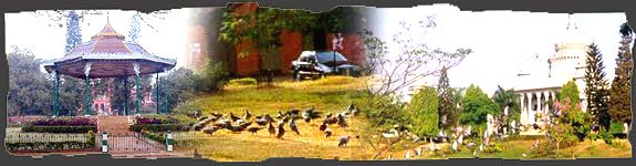 Cubbon Park